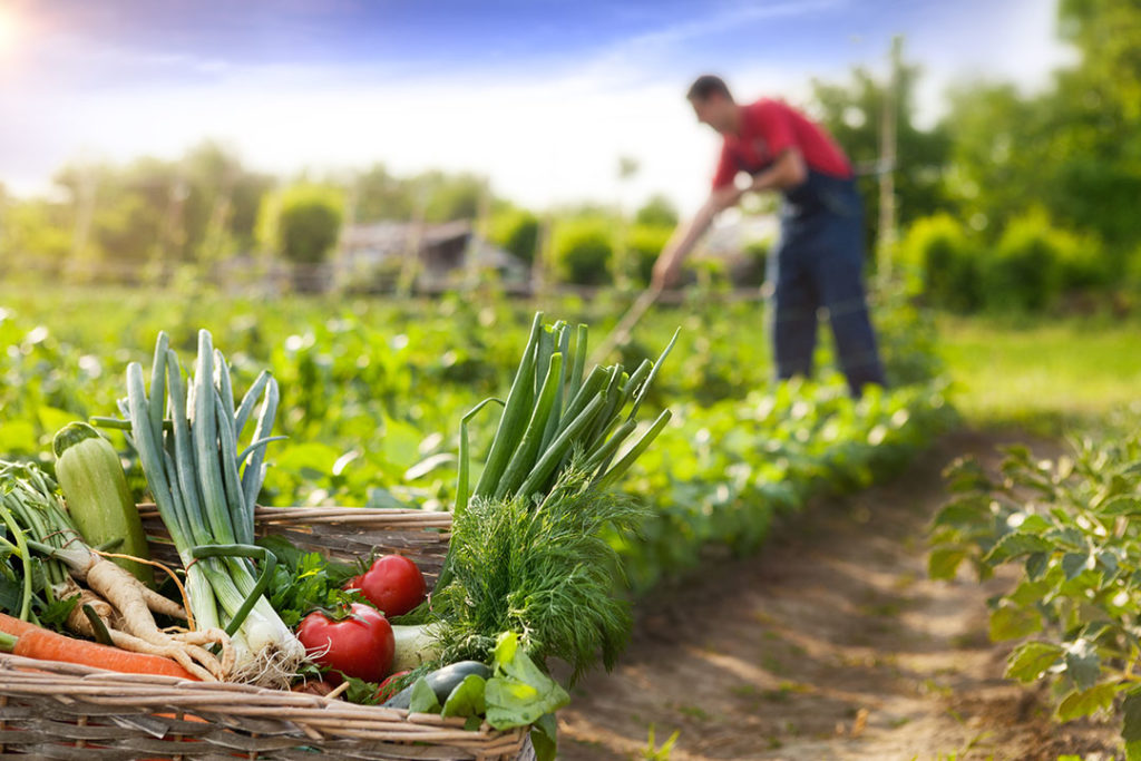 Tierras del Litoral apuesta por la agricultura sostenible en Uruguay con una inversión de US0 M.