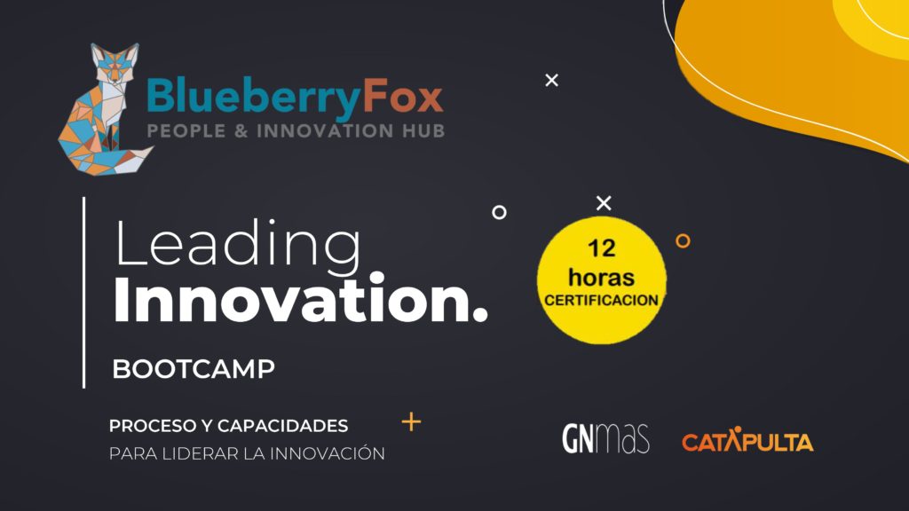 Blueberry Fox presenta su primer “leading innovation bootcamp”con certificación y abierto a todo público