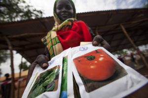 El desarrollo ecológico de la industria de las semillas es esencial para alimentar a la creciente población mundial