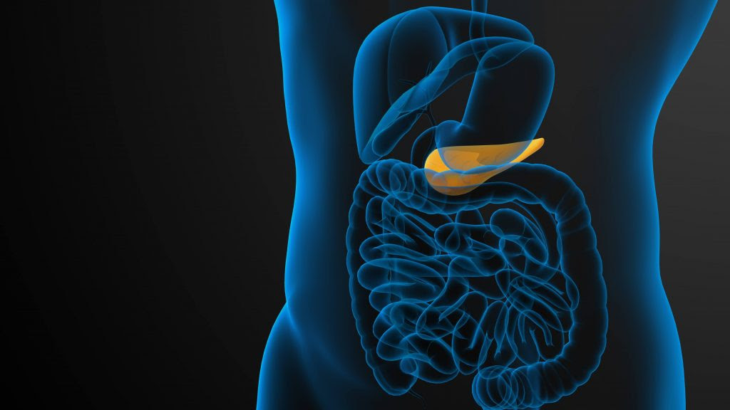 Estudio descubre una cada seis personas con cáncer páncreas tiene mutaciones genéticas hereditarias