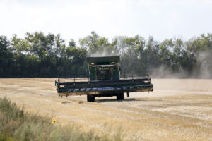 El índice de precios de los alimentos de la FAO aumentaron 1,2% en noviembre