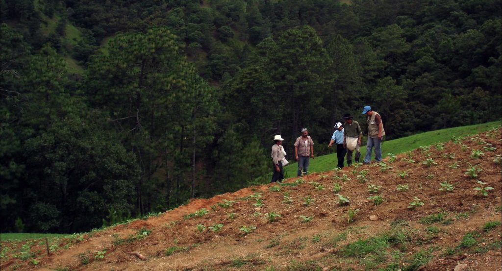 La FAO impulsará el mapeo de nutrientes del suelo en Centroamérica