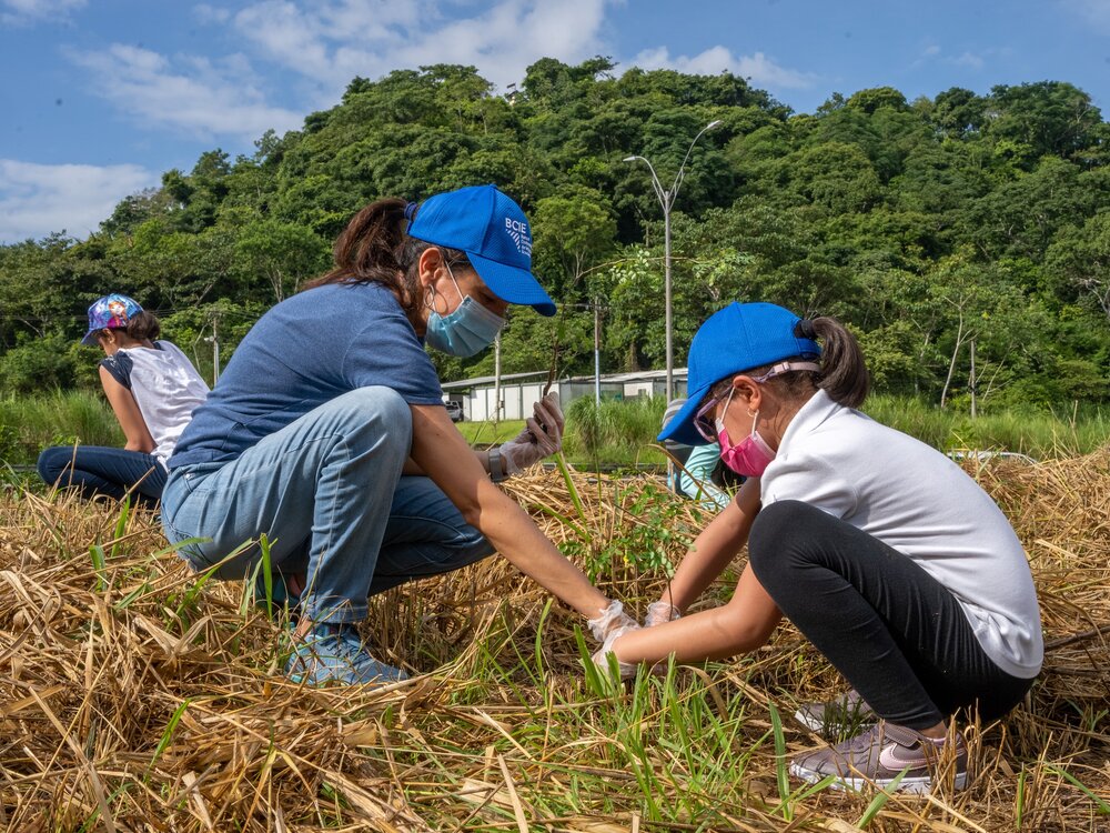 Voluntariado del BCIE realiza jornada de reforestación en el Parque Nacional Camino de Cruces en Panamá