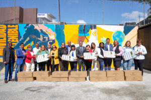 Inicio EDESUR instalación 2,000 nuevas luminarias 10 provincias 