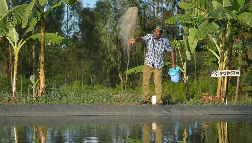 FAO lidera esfuerzos mundiales por fortalecer la acuicultura en favor de la alimentación y el desarrollo sostenible