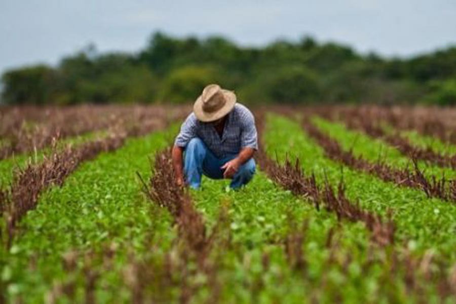 Transformar el sistema agroalimentario para resolver los retos más importantes del mundo