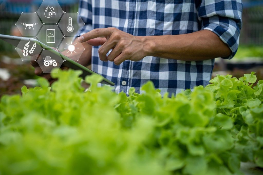 Transformación digital y agronegocios: tendencias y oportunidades en América Latina y el Caribe