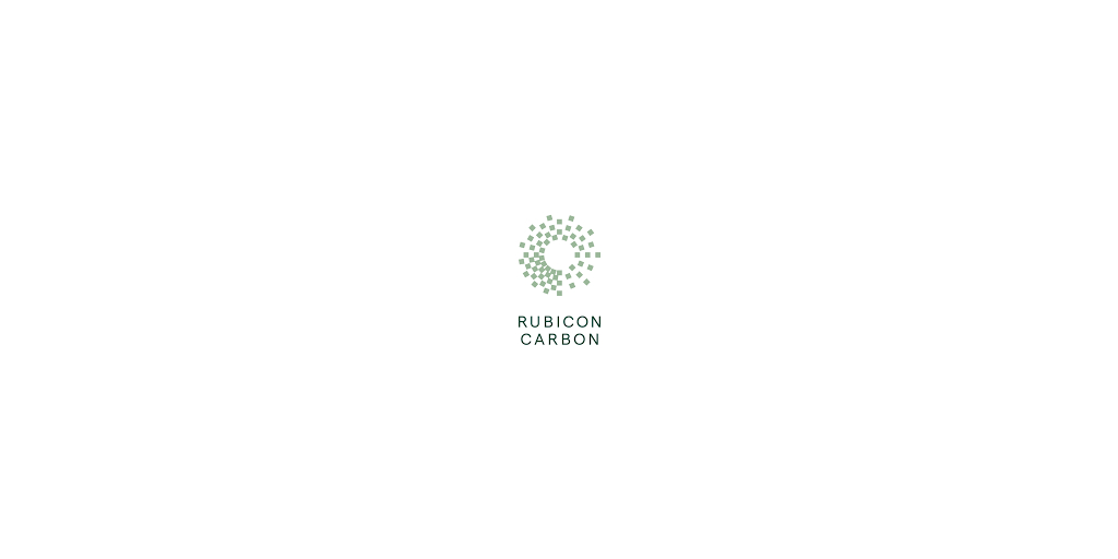 Rubicon Carbon e YvY Capital anuncian una colaboración destinada a aumentar las inversiones ecológicas en Brasil