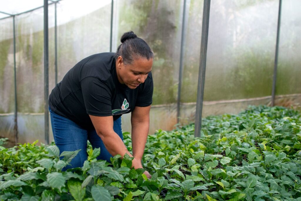 FORD abre convocatoria para Donativos Ambientales FORD 2026