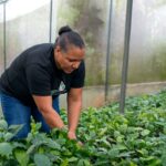 FORD abre convocatoria para Donativos Ambientales FORD 2026