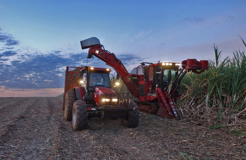 Indice de precios de los alimentos de la FAO sube en al aumentar los costos de la energía por el conflicto en el Cercano Oriente