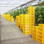 CAF impulsa el comercio exterior y el financiamiento sostenible con desembolso a Bancolombia Panamá
