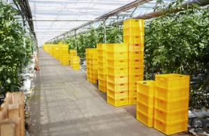 CAF impulsa el comercio exterior y el financiamiento sostenible con desembolso a Bancolombia Panamá